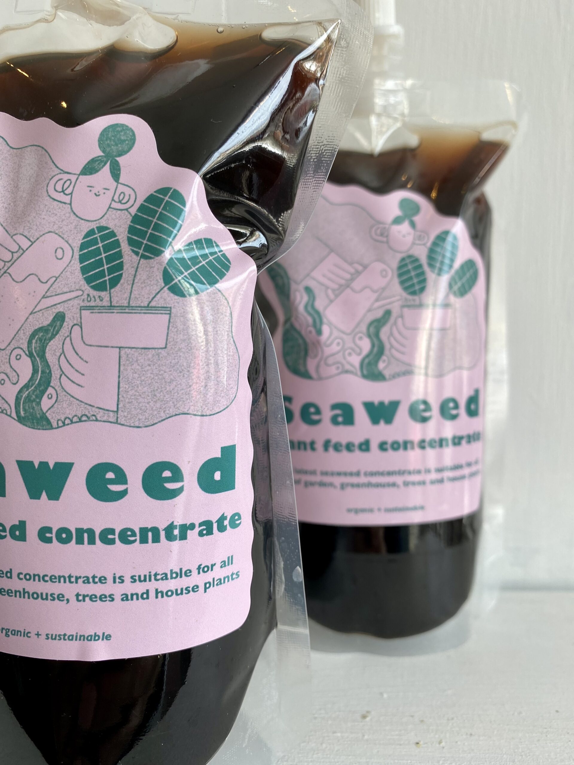 Concentrated 100% natural Seaweed plant feed