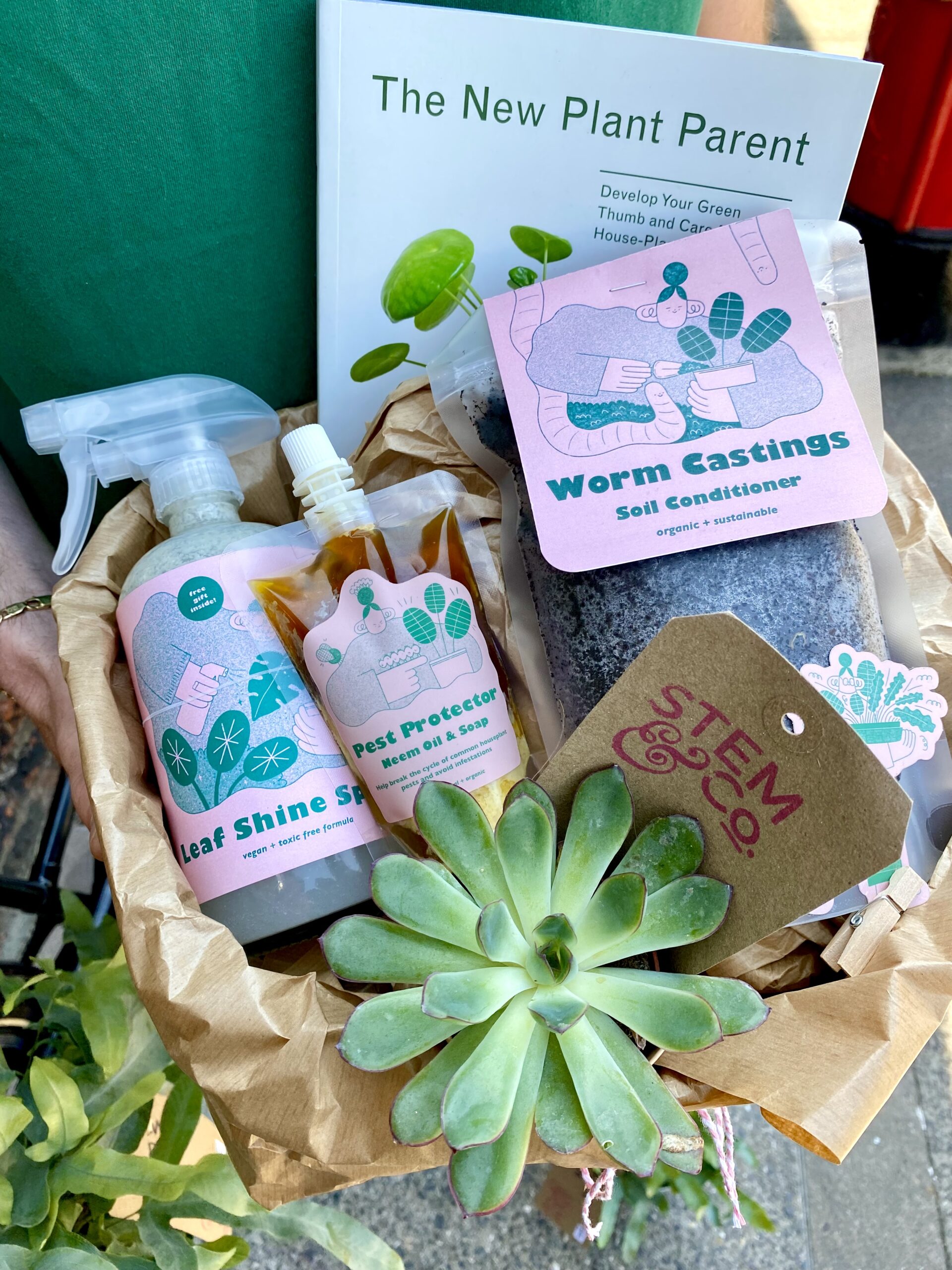 New Plant Parent Book and Care Gift Set