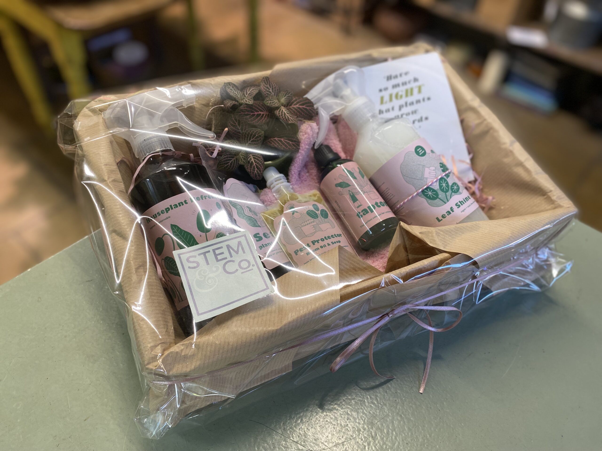 The ultimate Plant Care Hamper - Image 2