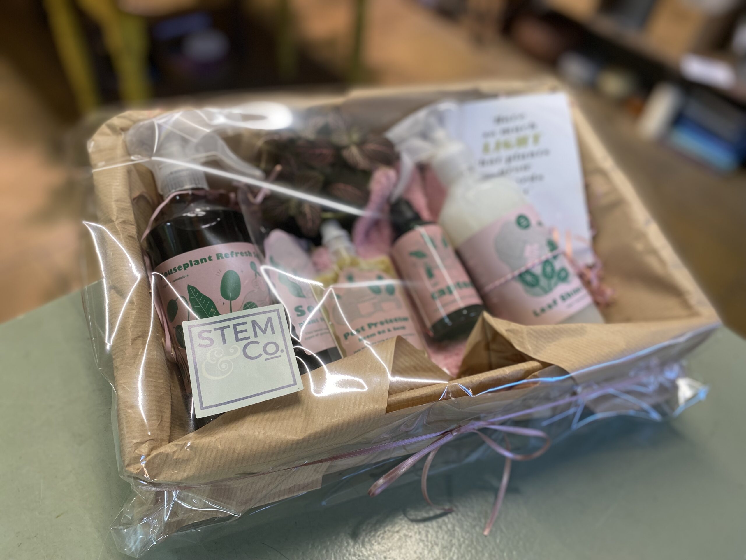 The ultimate Plant Care Hamper