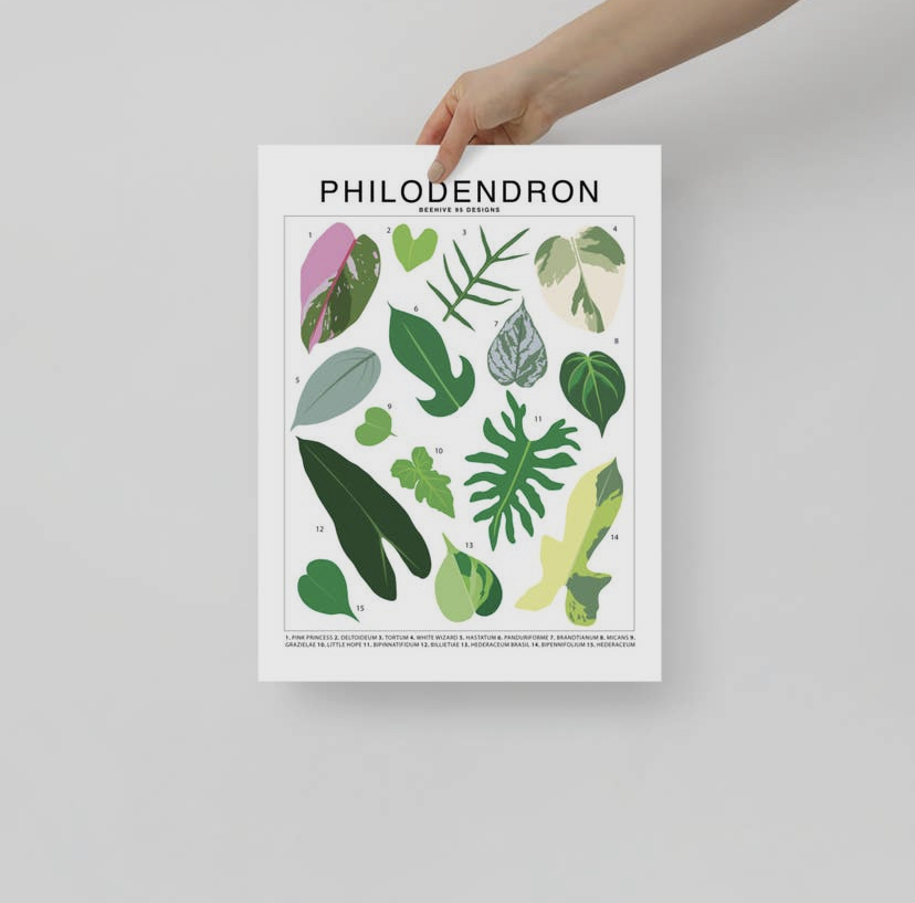 Houseplant Species Prints - Image 19