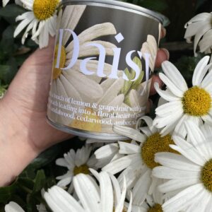 Daisy Candle by Stem&Co