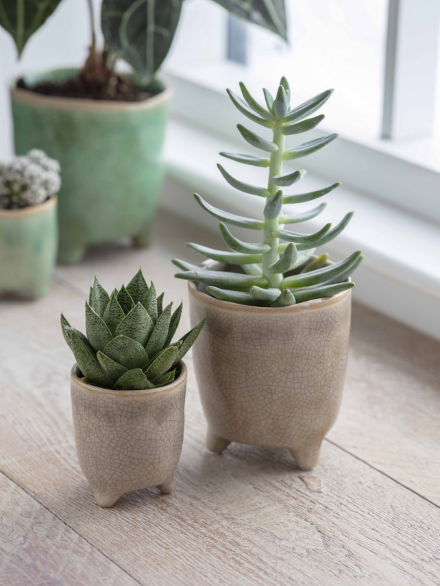 Postiano Medium Ceramic Plant Pot in Stone 13.5cm - Image 2