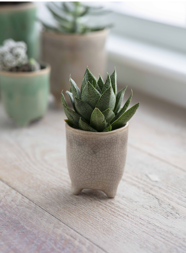 Postiano Medium Ceramic Plant Pot in Stone 13.5cm - Image 4