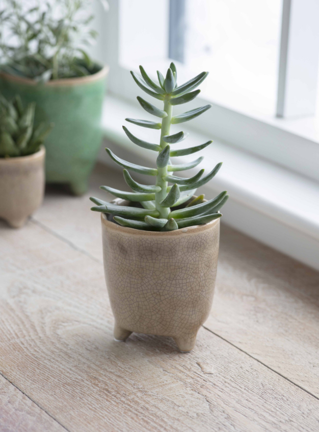 Postiano Small Ceramic Plant Pot in Stone 10.2cm