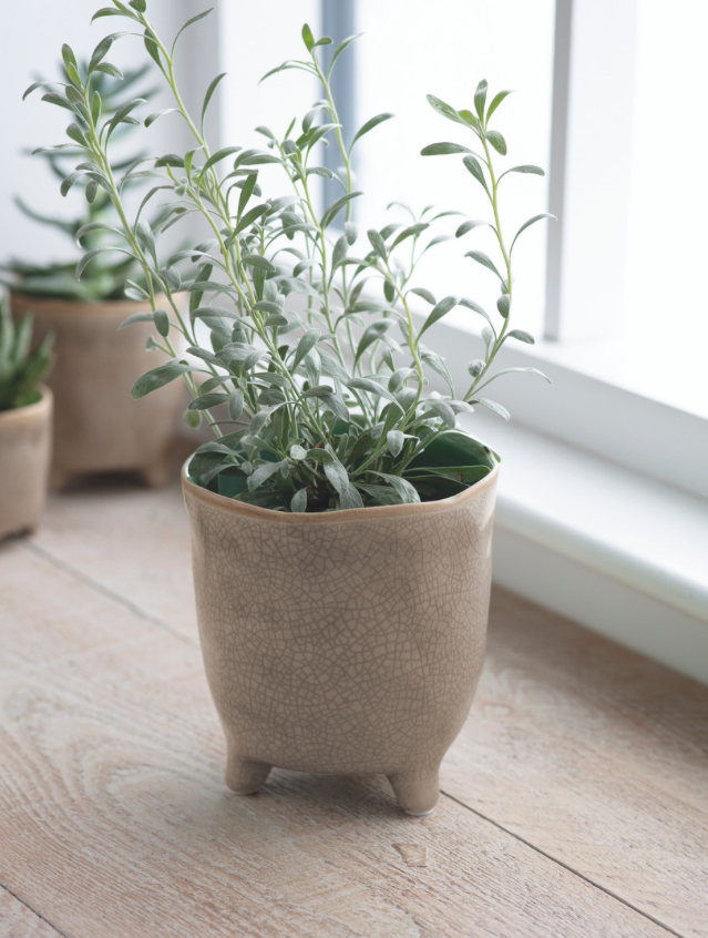 Postiano Medium Ceramic Plant Pot in Stone 13.5cm
