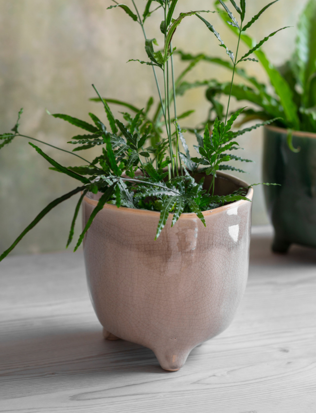 Postiano Large Ceramic Plant Pot in Stone 20cm