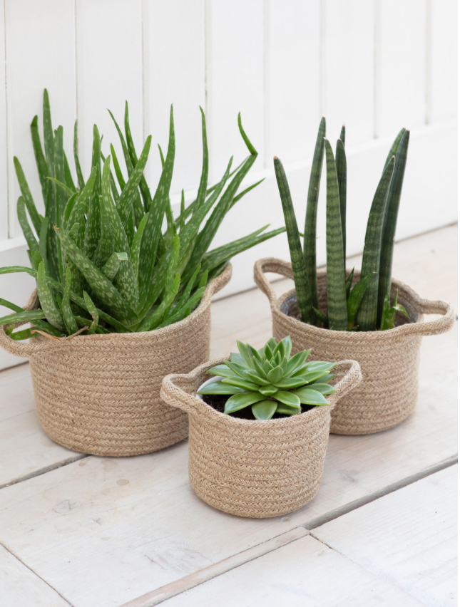 SET OF 3 WOVEN PLANT POTS