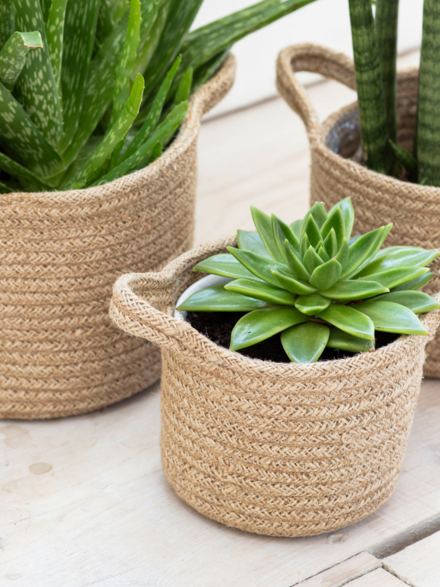 SET OF 3 WOVEN PLANT POTS - Image 4