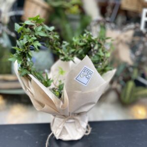 English Ivy Heart