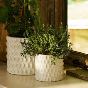 BLEWBURY BOBBLE POT 11CM WHITE