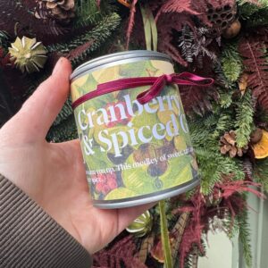 Christmas Cranberry & Spiced Ginger Candle by Stem&Co