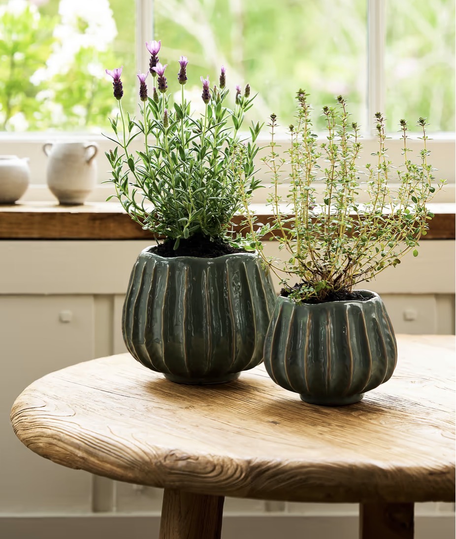 Osmington Rosemary Ceramic Plant Pot 14cm - Image 11