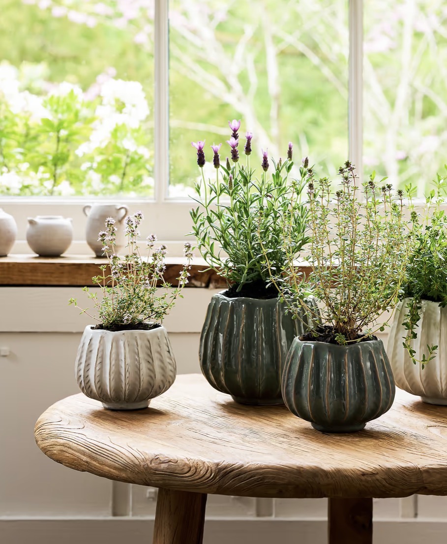 Osmington Rosemary Ceramic Plant Pot 14cm - Image 9