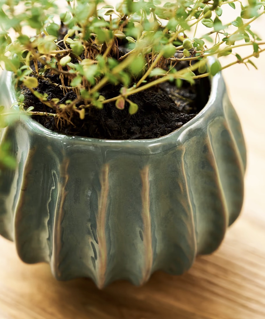 Osmington Rosemary Ceramic Plant Pot 14cm - Image 8