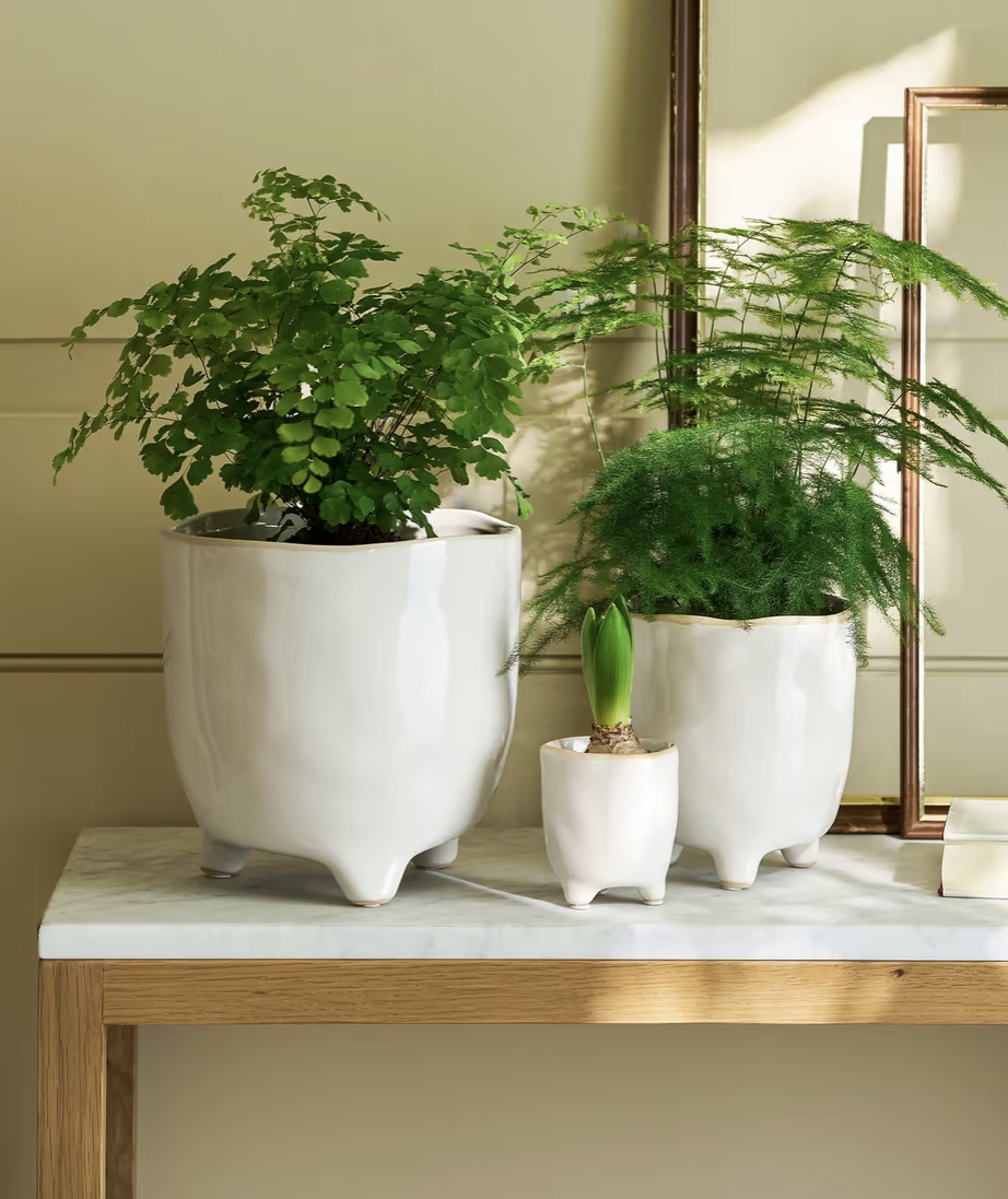 Postiano baby Ceramic Plant Pot in White 7.2cm - Image 6