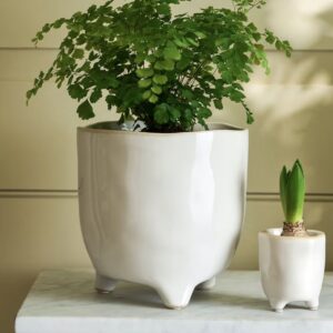 Postiano Large Ceramic Plant Pot in White 20cm