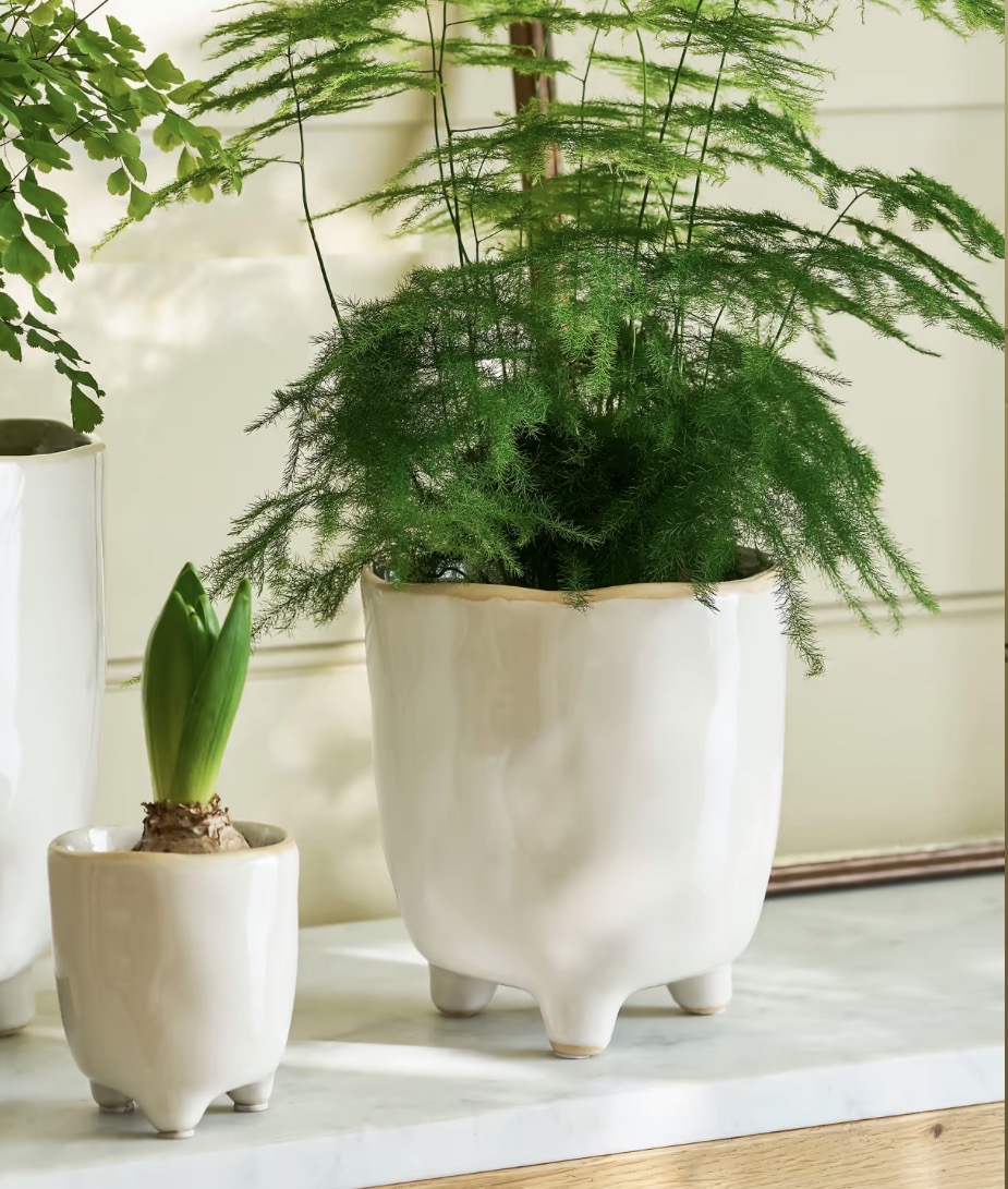 Postiano baby Ceramic Plant Pot in White 7.2cm - Image 4
