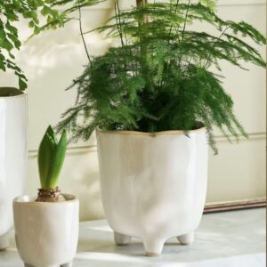 Postiano Medium Ceramic Plant Pot in White 13.5cm