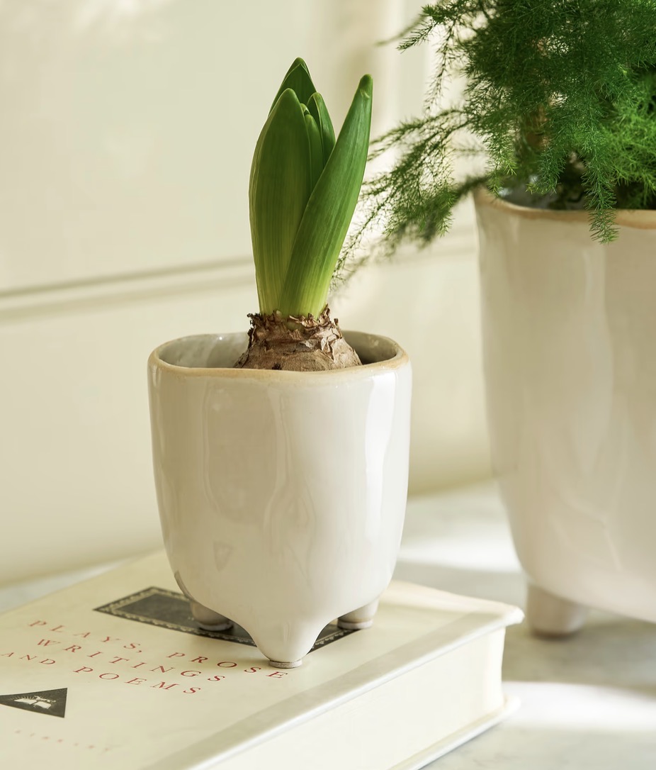 Postiano baby Ceramic Plant Pot in White 7.2cm