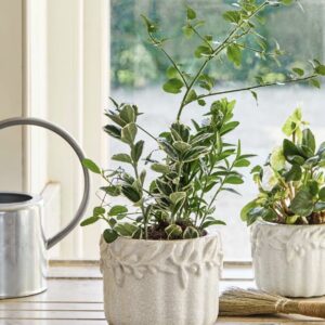 Garden Trading Cetara 15cm plant pot